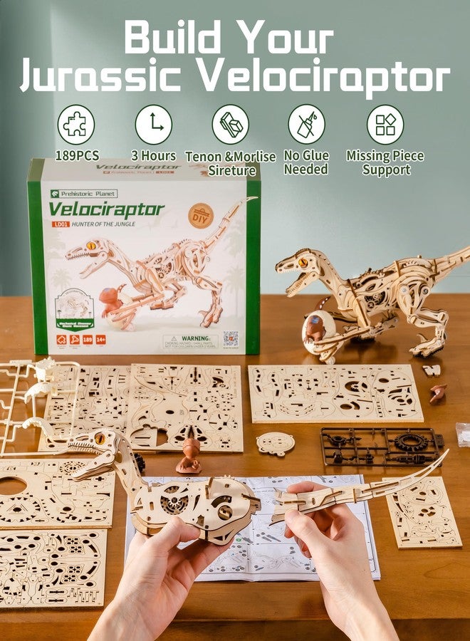 روبوتايم ألغاز خشبية ثلاثية الأبعاد على شكل ديناصورات من روبوتايم، نماذج فيلوسيرابتور متحركة، ألعاب ديناصورات ميكانيكية تعليمية، مجموعة بناء ألغاز ثلاثية الأبعاد كهدية - Image 5